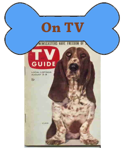 famous basset hounds on tv